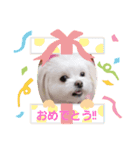 LUNA＆SEAです～10月ルナ編（個別スタンプ：4）