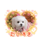 LUNA＆SEAです～10月ルナ編（個別スタンプ：5）