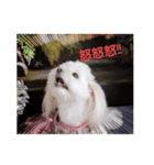 LUNA＆SEAです～10月ルナ編（個別スタンプ：8）
