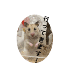 でんねもスタンプ3（個別スタンプ：8）