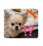 ☆くぅもこスタンプ☆（個別スタンプ：3）