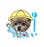 ☆くぅもこスタンプ☆（個別スタンプ：10）
