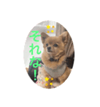 ☆くぅもこスタンプ☆（個別スタンプ：14）