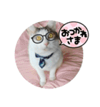 ねこ大好き〜モカ（個別スタンプ：2）