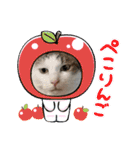 ねこ大好き〜モカ（個別スタンプ：7）