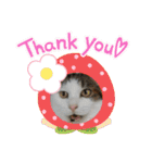 ねこ大好き〜モカ（個別スタンプ：9）