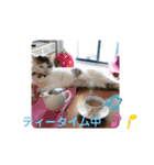 ねこ大好き〜モカ（個別スタンプ：18）