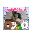 ねこ大好き〜モカ（個別スタンプ：20）