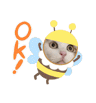ねこ大好き〜モカ（個別スタンプ：22）