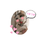 ねこ大好き〜モカ（個別スタンプ：25）