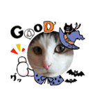 ねこ大好き〜モカ（個別スタンプ：30）