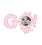 ねこ大好き〜モカ（個別スタンプ：31）