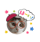 ねこ大好き〜モカ（個別スタンプ：37）