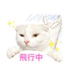 しろみの日常part2（個別スタンプ：3）