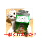 しろみの日常part2（個別スタンプ：8）