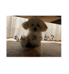 なかざと家animals（個別スタンプ：6）