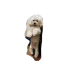 なかざと家animals（個別スタンプ：11）