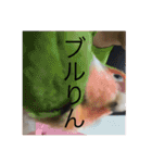 なかざと家animals（個別スタンプ：12）