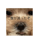 なかざと家animals（個別スタンプ：18）
