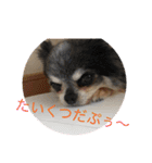 なかざと家animals（個別スタンプ：20）