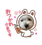 なかざと家animals（個別スタンプ：24）