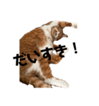 みーちゃんのスタンプ その2（個別スタンプ：7）