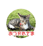 ムッタだよ（個別スタンプ：2）
