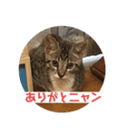 ムッタだよ（個別スタンプ：3）