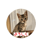 ムッタだよ（個別スタンプ：5）