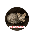ムッタだよ（個別スタンプ：6）