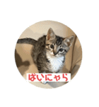 ムッタだよ（個別スタンプ：7）