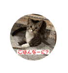 ムッタだよ（個別スタンプ：9）
