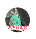ムッタだよ（個別スタンプ：10）