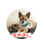 ムッタだよ（個別スタンプ：11）