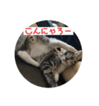 ムッタだよ（個別スタンプ：12）