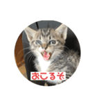 ムッタだよ（個別スタンプ：13）