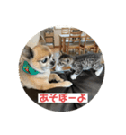 ムッタだよ（個別スタンプ：15）