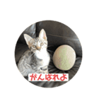 ムッタだよ（個別スタンプ：16）