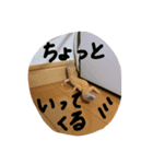 レオパのジョンくんです。目がキュート♪（個別スタンプ：6）