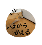 レオパのジョンくんです。目がキュート♪（個別スタンプ：7）