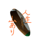 レオパのジョンくんです。目がキュート♪（個別スタンプ：9）