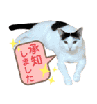 ちゃちゃチャンのスタンプ（個別スタンプ：8）