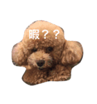 碧人の毎日（個別スタンプ：3）