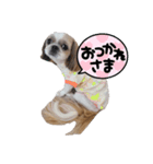 mumu,uni3（個別スタンプ：7）