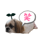 mumu,uni3（個別スタンプ：8）