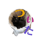こはぎちゃんスタンプ^._.^（個別スタンプ：5）