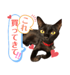 こはぎちゃんスタンプ^._.^（個別スタンプ：10）