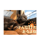 こはぎちゃんスタンプ^._.^（個別スタンプ：22）