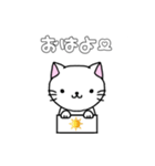 みんなに使ってほしい猫猫すたんぷ（個別スタンプ：5）