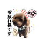 愛犬コナちゃんスタンプ（個別スタンプ：10）
